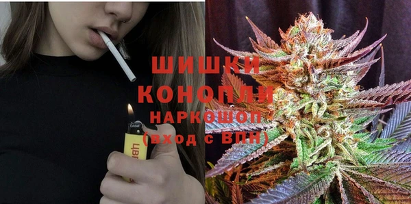 гашик Богородицк