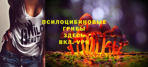 гашик Богородицк