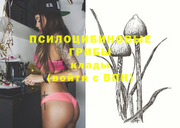 амфетамин Богданович