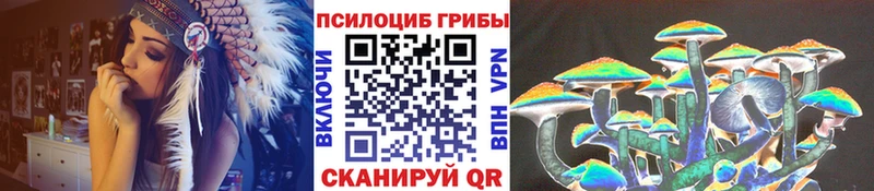Галлюциногенные грибы мицелий  Ильский 